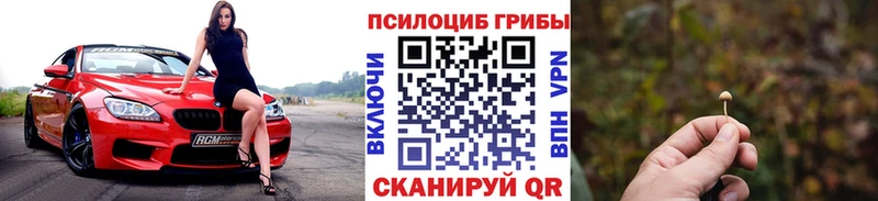 Галлюциногенные грибы MAGIC MUSHROOMS  продажа наркотиков  Карталы 